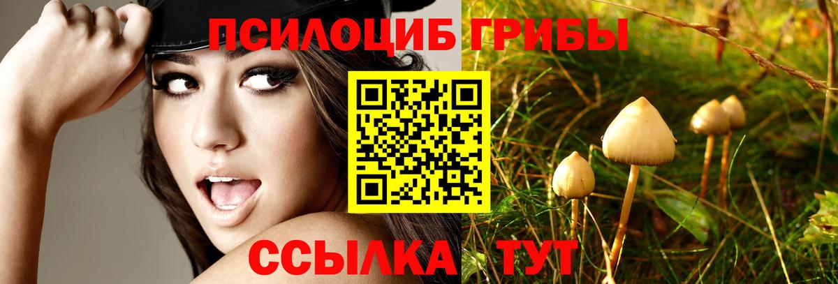 Галлюциногенные грибы прущие грибы Татарск