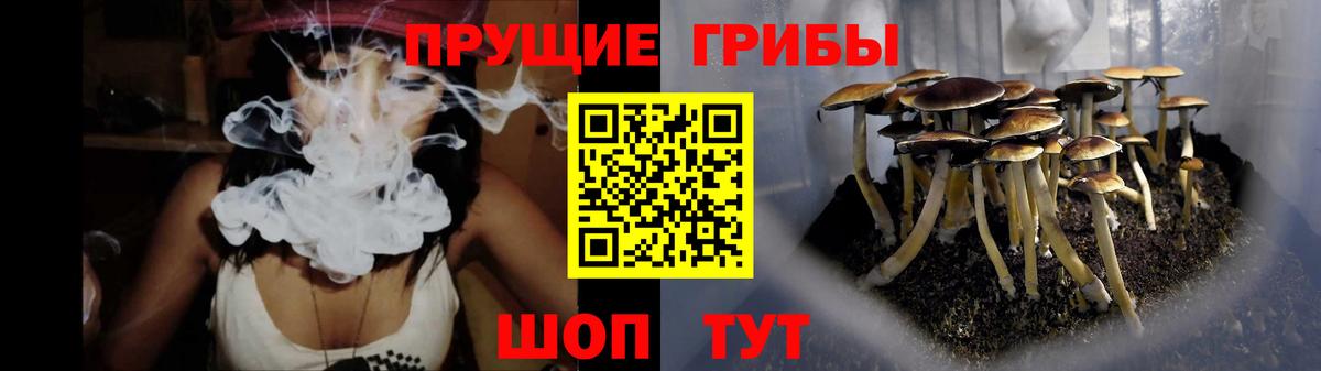 Псилоцибиновые грибы GOLDEN TEACHER  Вход с VPN  Татарск 